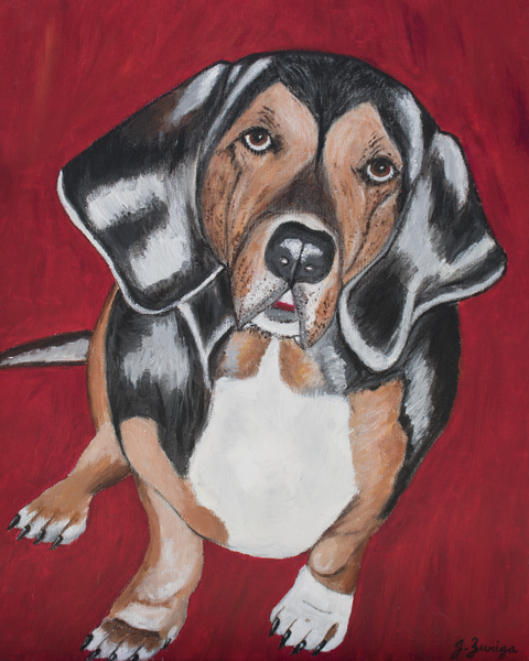 Happy Chinese Lunar New Year! Learn about Year of the Earth Dog....
